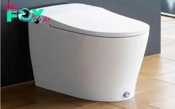 Simplify Your Life with Horow T05 Toilet