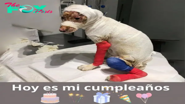 🎉 Hoy es mi cumpleaños y espero cosas buenas.hanh