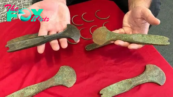 3,600-year-old jewelry and weapon hoard found under field in Czech Republic