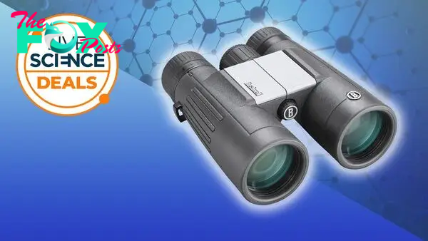 Bushnell PowerView 2 10x42 binoculars now cheaper than Prime Day