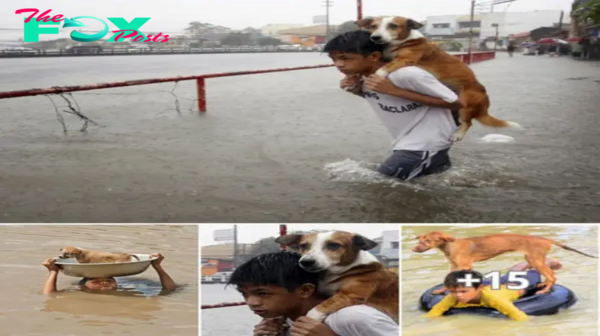 A 7-year-old boy becomes a hero, showing deep empathy when rescuing an abandoned dog.hanh