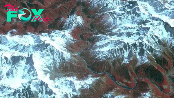 Yarlung Tsangpo: The deepest canyon on land hides a tree taller than the Statue of Liberty