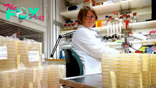 Bacteria that switch antibiotic resistance on and off are going undetected. Microbiologist Karin Hjort is on a mission to find out how they do it.