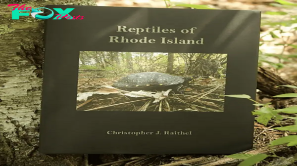 Reptiles of Rhode Island hard cover book supports RIDEM programs. Companion to “Amphibians of…”