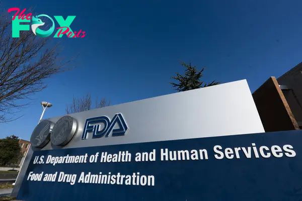 FDA Rejects the Psychedelic MDMA as a PTSD Treatment