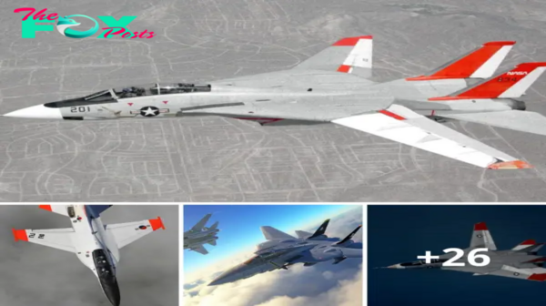 Reimagining the F-14: Unveiling the Next-Gen Super Tomcat 21.lamz