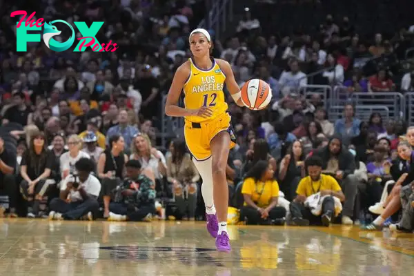 Los Angeles Sparks vs Chicago Sky Prediction 8-17-24 WNBA Picks