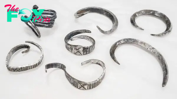 'Spectacular silver treasure' from Viking Age unearthed by college student on farm in Denmark