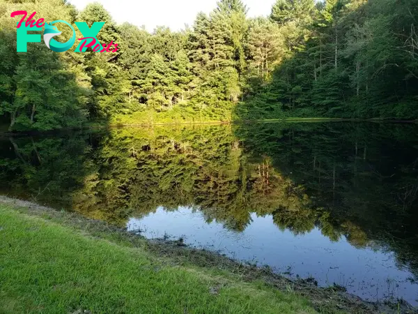 Outdoors in RI:  Breakheart Pond hike, DEM survey, EEE lockdown, 2A scrappers or doers – Jeff Gross