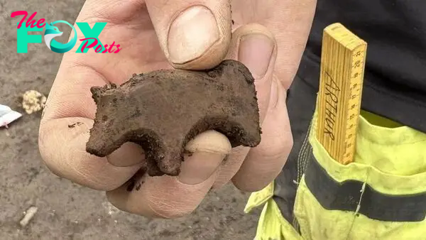 Viking Age stone figurine unearthed in Iceland — but no one can agree on which animal it is