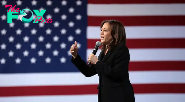 “Kamala Harris, for the Folks” – “By no means let anybody inform you who you might be”