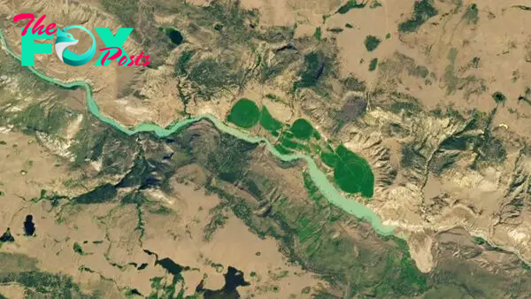 Earth from space: Massive landslide dams Canadian river, trapping endangered fish on the wrong side