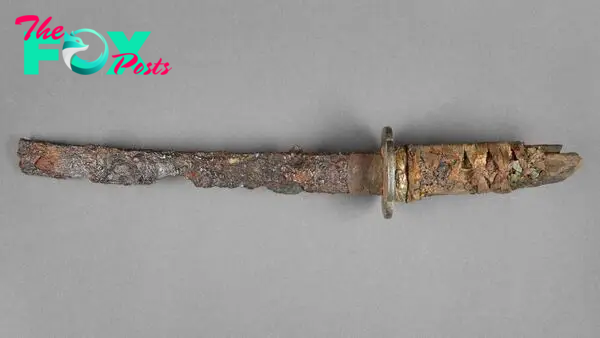 'Richly decorated weapon' from Edo Japan unearthed in World War II rubble in Germany