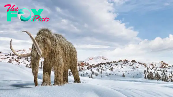 Woolly mammoths: Facts about these extinct, shaggy beasts that once roamed the Arctic