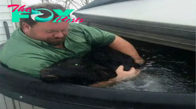 Farmer finds newborn calf freezing in the snow — and saves his life with a hot tub