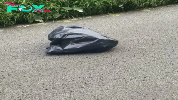 Woman Swerves To Miss Trash Bag In Road, Looks Closer And Gets The Chills