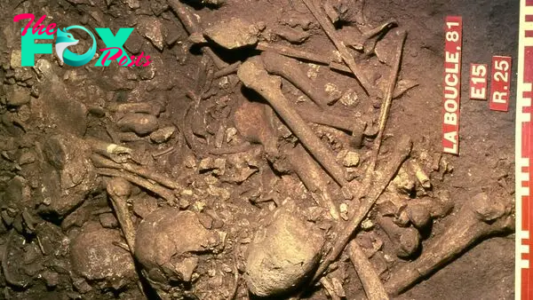 Stone Age burial ground in France used for 800 years is nearly all male — and ancient DNA reveals they're largely related