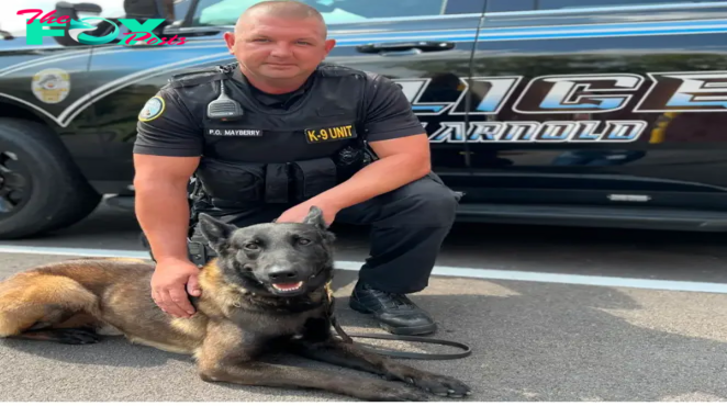 Police K9 dies after being left in hot vehicle after air conditioner malfunction