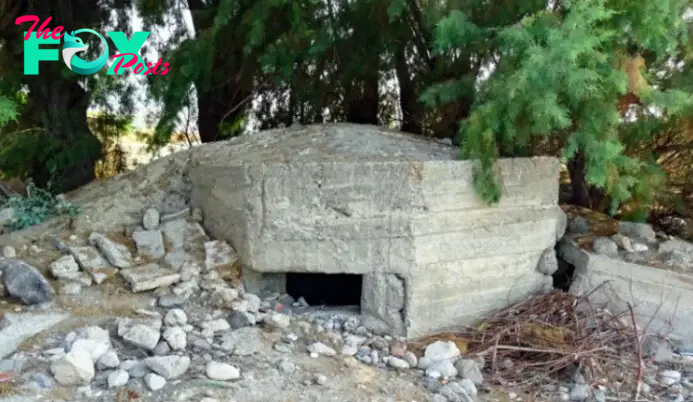 This man bought the home from an elderly couple who built it in the 1970s: He sees a hole in his front yard, examines it closer, and is surprised where it leads