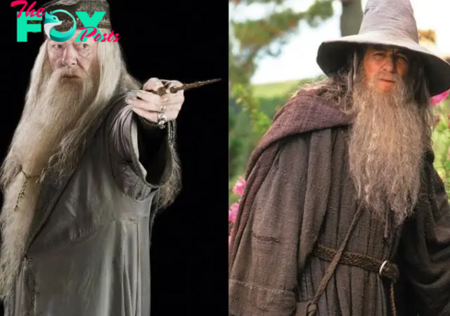 Dumbledore vs Gandalf: Pubity’s Instagram poll sparks debate on who would win