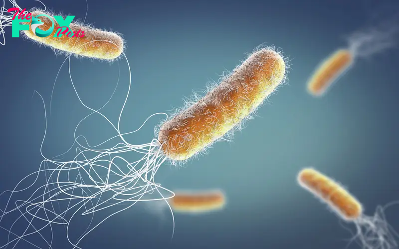 Superbugs Could Kill 39 Million People by 2050, Study Warns