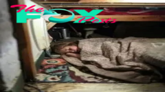 I Found My Daughter Sleeping Under the Stairs—Her Chilling Confession Left Me Shaken