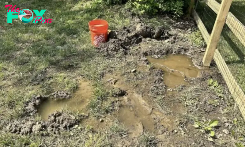 Cocky Neighbor Fills My Pond, My Smart Comeback Shows Him Not to Underestimate an Older Woman