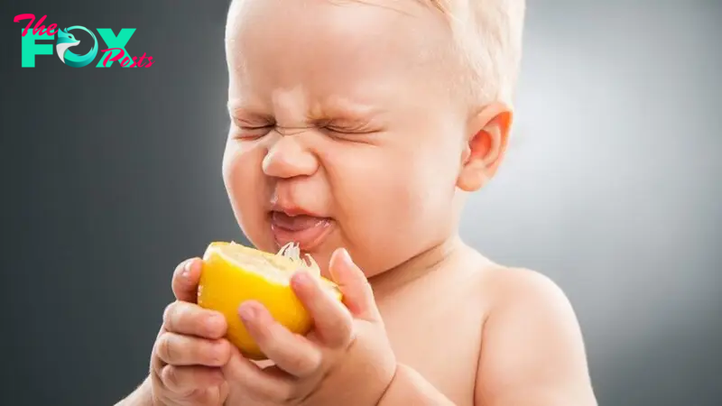 Children’s funny reactions when they experience eating lemon for the first time through super cute and funny pictures