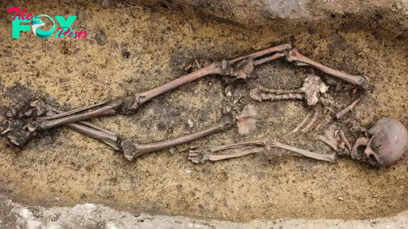 50 Viking Age burials discovered in Denmark, including a woman in a rare 'Viking wagon'