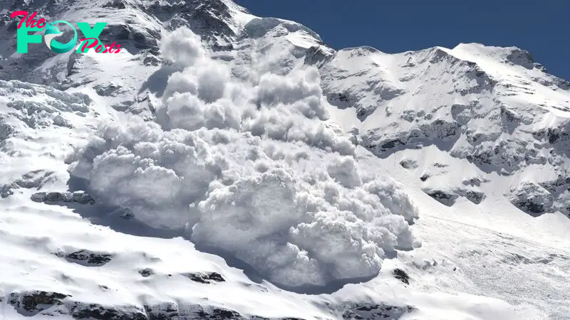 More people are surviving avalanches than decades ago — here's why