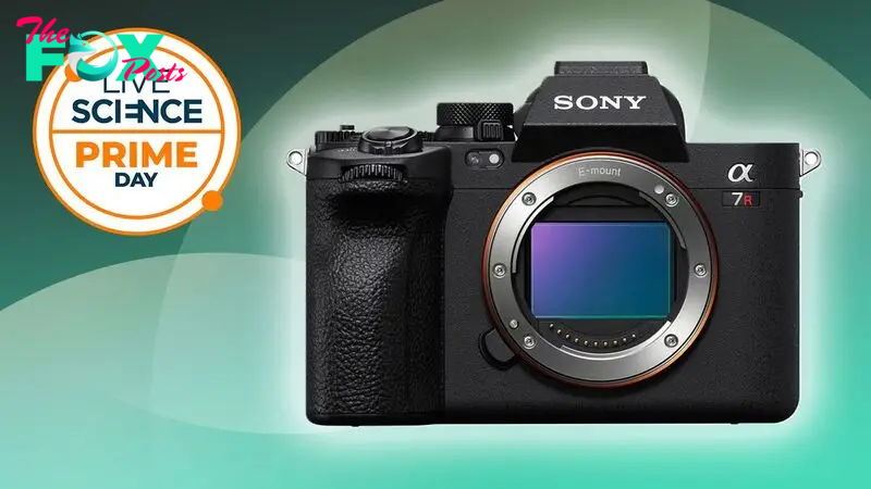 Better than Prime Day: This Sony camera deal at Walmart is huge!