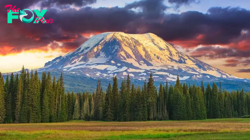 'Every volcano has its own personality': Mystery Mount Adams earthquake surge under investigation