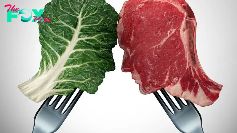 Why does meat have more protein than vegetables?