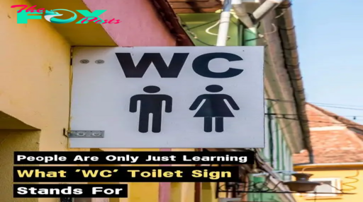 How the ‘WC’ Sign Reflects Cultural Differences Around the World