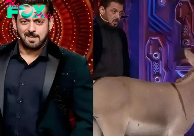 Donkey removed from Bigg Boss 18 following PETA's allegations