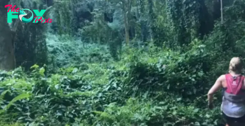 A woman takes a photo while sprinting through the rainforest, only to later notice an eerie detail in the bushes