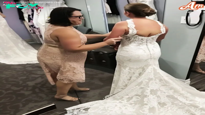 My Cousin Deliberately Made My Wedding Dress Two Sizes Too Small – She Was Astonished When She Saw How I Handled It