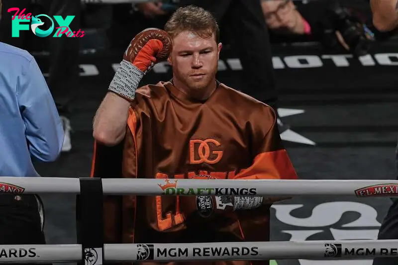 Canelo knocked down a peg in P4P rankings