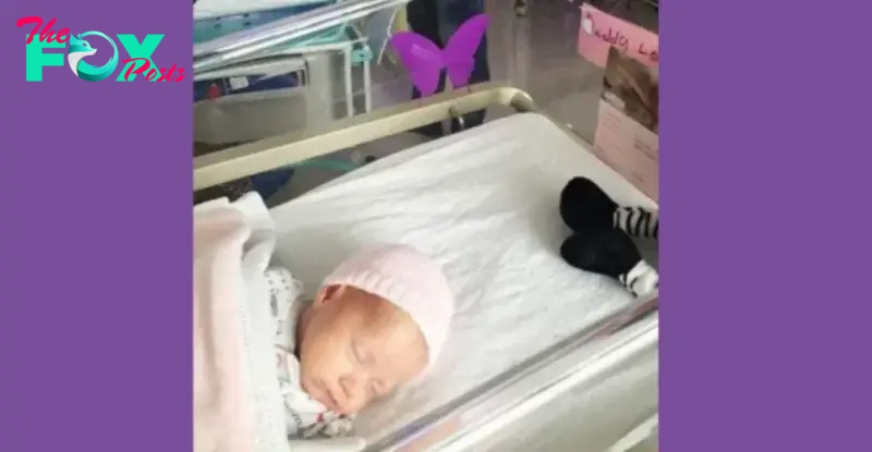 If you spot a purple butterfly sticker near a newborn, it is important to understand its meaning