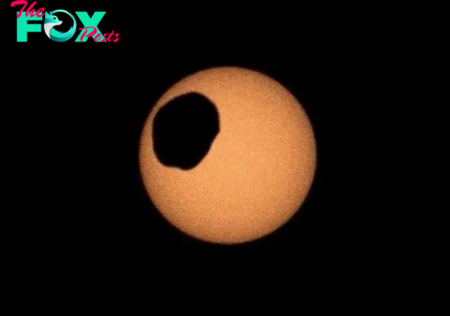 WATCH: What does a solar eclipse on Mars look like