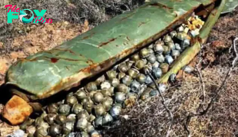 A farmer comes across military equipment hidden on his land. When he finds out who owns it, he is completely astonished