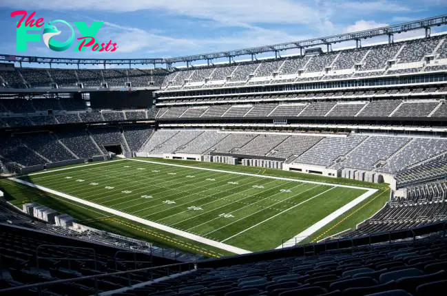 Does MetLife Stadium have turf or grass?