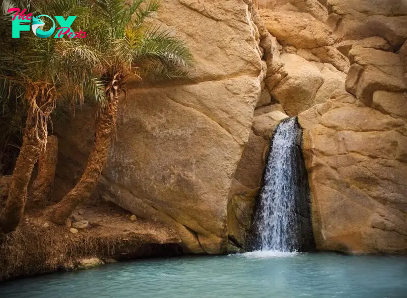 8 Most Beautiful Desert Oasis in the World