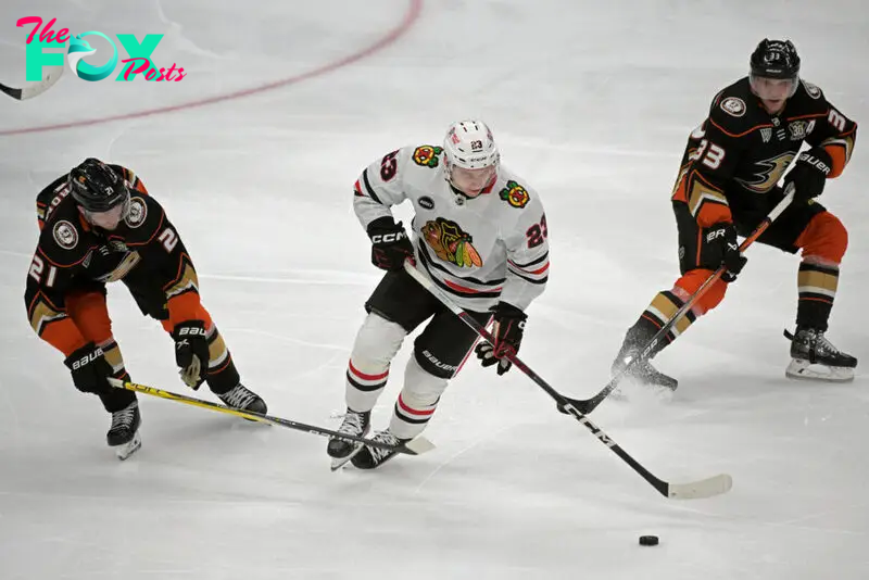 Anaheim Ducks vs Chicago Blackhawks Prediction 11-3-24 NHL Picks