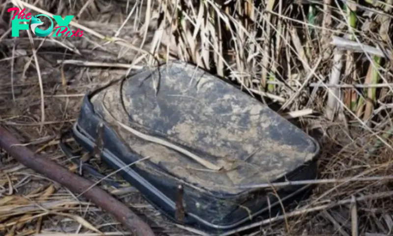 A woman stumbled upon a dusty, tattered suitcase hidden in some underbrush