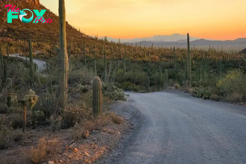 Which US States are the Driest?