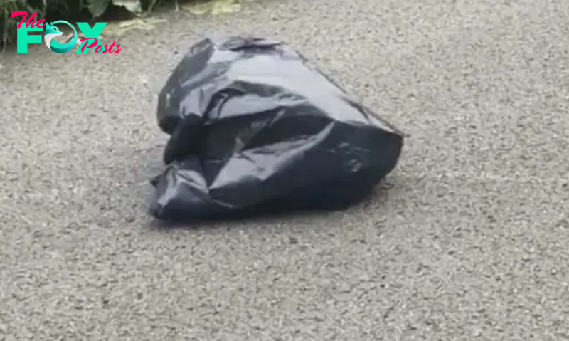 Driver dodges trash bag on the road, then realizes the chilling truth