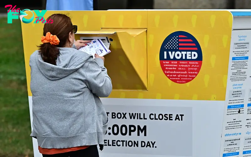 How to Check if Your 2024 Presidential Election Ballot Has Been Counted