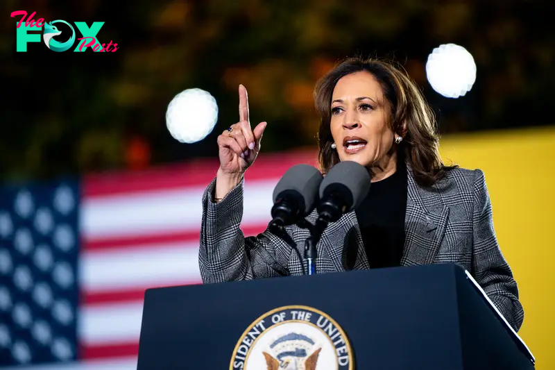 What a Kamala Harris Win Would Mean for Immigration