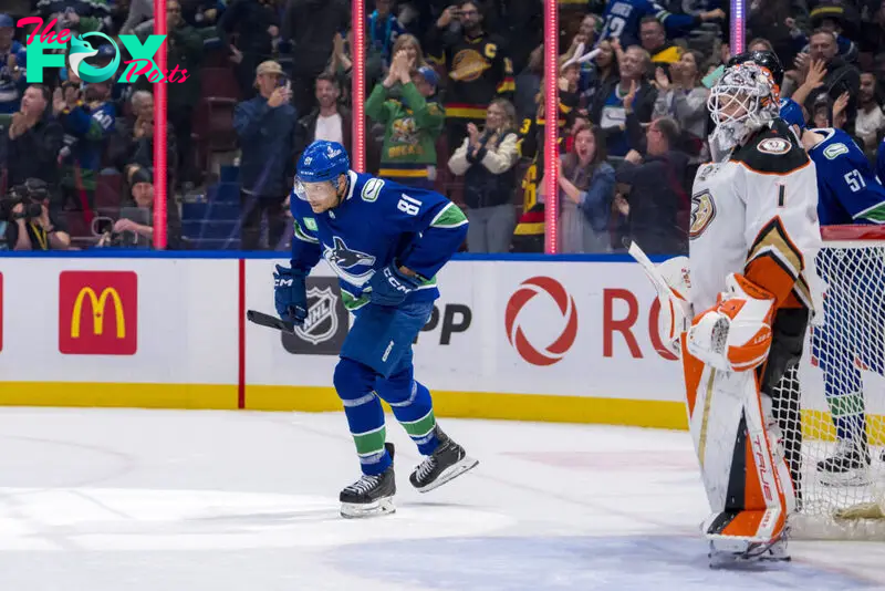 Anaheim Ducks vs Vancouver Canucks Prediction 11-5-24 NHL Picks